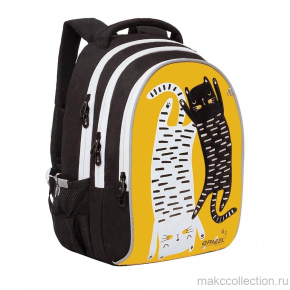 RG-168-2 рюкзак школьный (/3 желтый)
